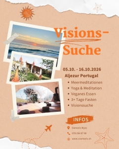 Visionssuche